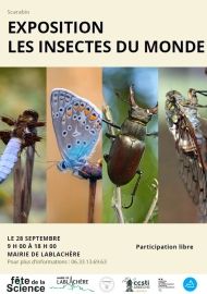Exposition insectes du monde