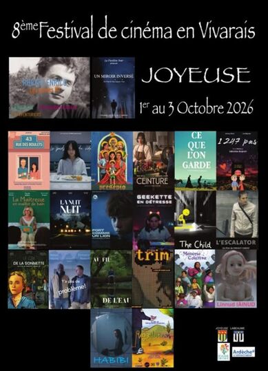 Festival du cinéma