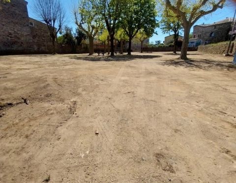 Dérasement du parc
